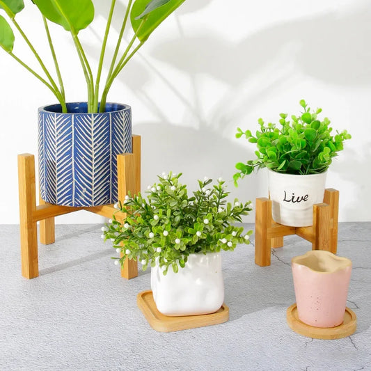 Elegante supporto per piante in legno per bonsai da interno - Decorazione perfetta