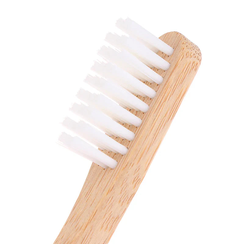 Brosse à dents écologique au charbon de bambou pour adultes | Prêt à voyager