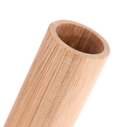 Brosse à dents écologique au charbon de bambou pour adultes | Prêt à voyager