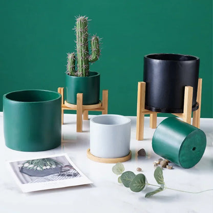 优雅的室内盆景木制植物架 - 完美装饰